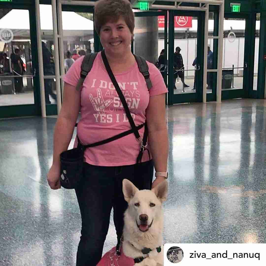 Repost from @ziva_and_nanuq Had a lot of fun poking around